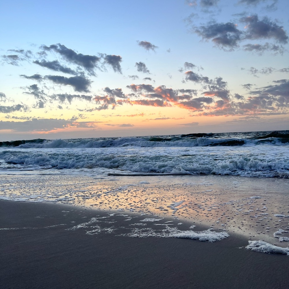 Meet your Posher, Betsy